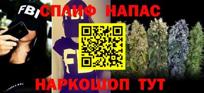 Альфа ПВП Сланцы