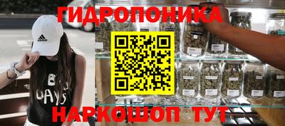 Альфа ПВП Сланцы