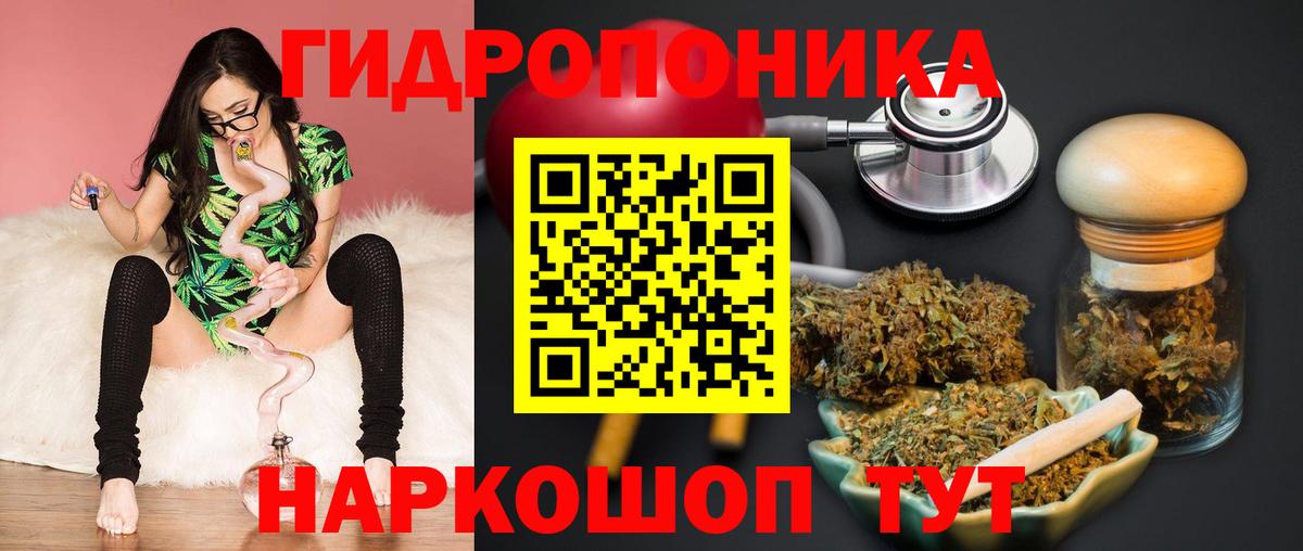 Вятские Поляны  Конопля индика  Бошки Шишки THC 21%  Вход с VPN  Марихуана ГИДРОПОН 
